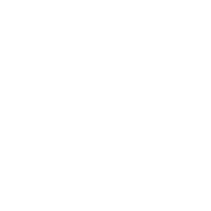 Vlog